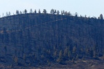 Aftermath of High Park wildfire, Colorado, 2012